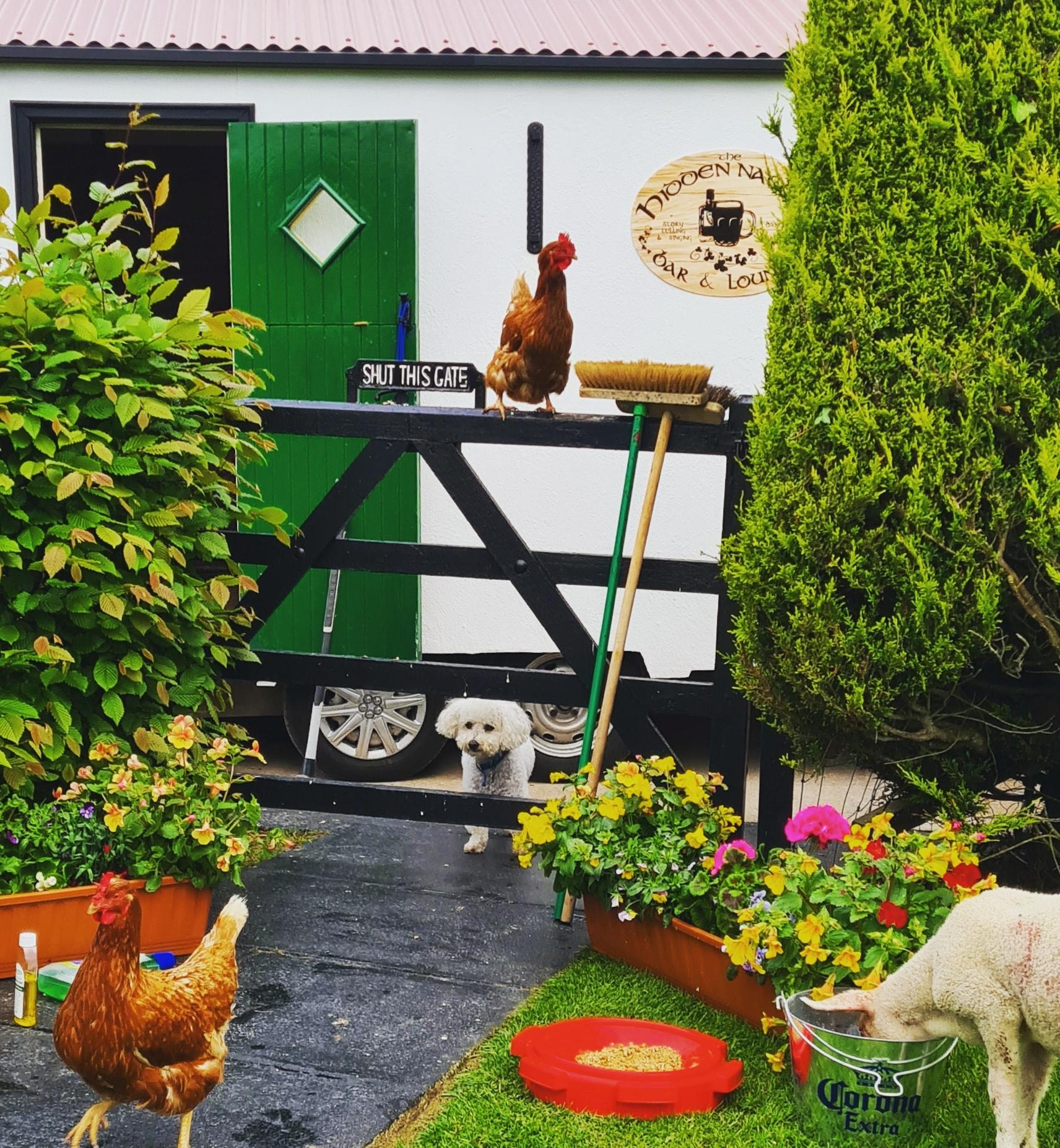 The Hidden Naggin at a farmyard event